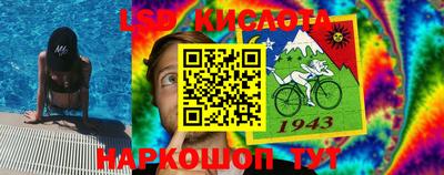 прущие грибы Заволжье
